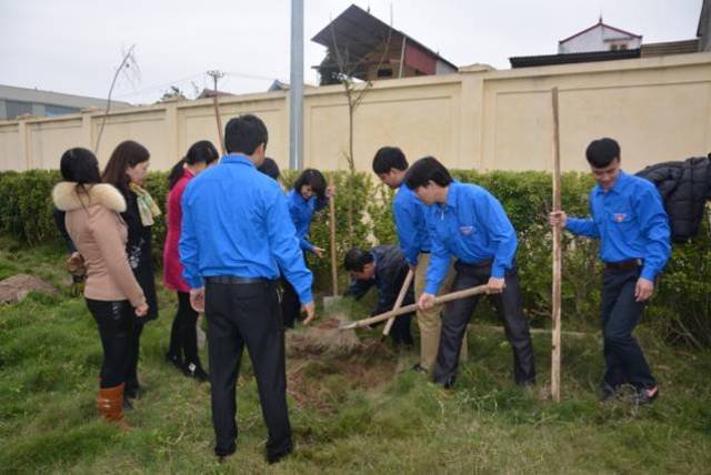 Đoàn TN Chi nhánh KTĐS Hà Thanh phối hợp cùng Đoàn TN phường Nam Bình tổ chức trồng cây